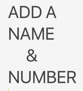 Pro Customization Service