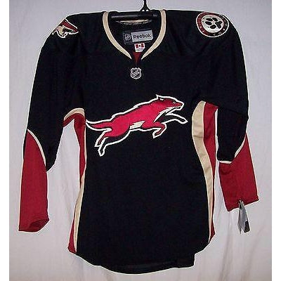 Phoenix Coyotes unused gray old-logo Reebok practice jersey w white gussets  (size 56 sewn on tail)